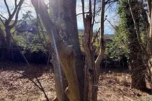 3687 Waterford Pl, Clarkston, GA 30021 - Photo 19