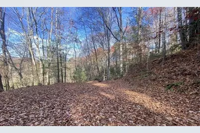 1 Barefoot Hills, Hiawassee, GA 30546 - Photo 3