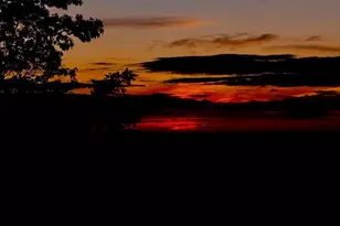 1688 Mulberry Cir, Jasper, GA 30143 - Photo 81