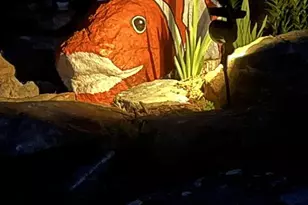 1688 Mulberry Cir, Jasper, GA 30143 - Photo 89