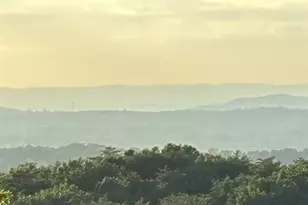 1688 Mulberry Cir, Jasper, GA 30143 - Photo 77