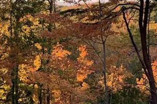 1688 Mulberry Cir, Jasper, GA 30143 - Photo 75