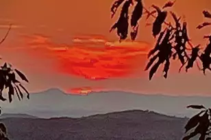 1688 Mulberry Cir, Jasper, GA 30143 - Photo 71