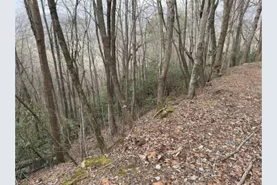 Lot416 Screamer Drive, Clayton, GA 30525 - Photo 5