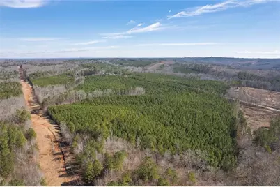 0 Macedonia Church Road, Buchanan, GA 30113 - Photo 17