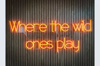 64 Windy Valley Lane, Blue Ridge, GA 30513 - Photo 51