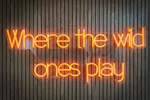 64 Windy Valley Ln, Blue Ridge, GA 30513 - Photo 51