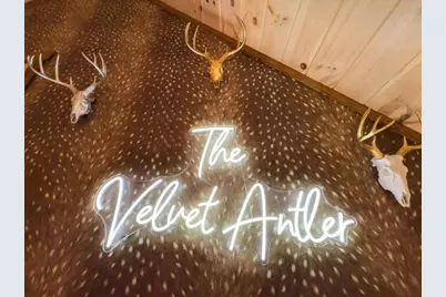 64 Windy Valley Lane, Blue Ridge, GA 30513 - Photo 41