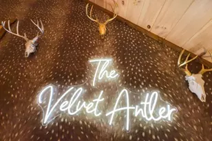 64 Windy Valley Ln, Blue Ridge, GA 30513 - Photo 41