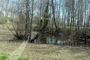 70 N Bellview Rd, Aragon, GA 30104 - Photo 29