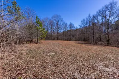 605 Rowe Road, Senoia, GA 30276 - Photo 83