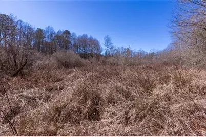 605 Rowe Road, Senoia, GA 30276 - Photo 79