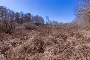 605 Rowe Rd, Senoia, GA 30276 - Photo 79