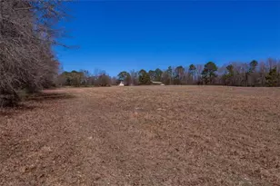 605 Rowe Rd, Senoia, GA 30276 - Photo 87