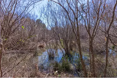 605 Rowe Road, Senoia, GA 30276 - Photo 89