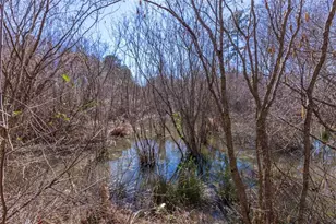 605 Rowe Rd, Senoia, GA 30276 - Photo 89