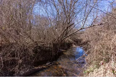 605 Rowe Road, Senoia, GA 30276 - Photo 81