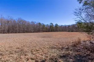 605 Rowe Rd, Senoia, GA 30276 - Photo 77