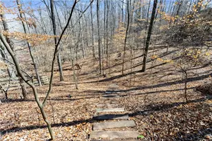 6800 Thunder Trail, Gainesville, GA 30506 - Photo 39