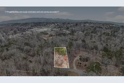 1029 Laurel Lake Drive, Ball Ground, GA 30107 - Photo 59