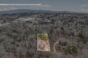 1029 Laurel Lake Dr, Ball Ground, GA 30107 - Photo 59