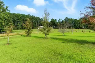 415 Old Draketown Trail, Villa Rica, GA 30180 - Photo 81