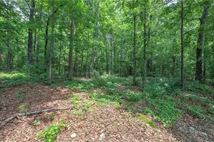 21 Washakie Ln, Adairsville, GA 30103 - Photo 29