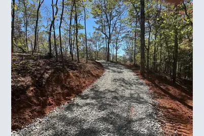 3.71 Yancy Drive, Dawsonville, GA 30534 - Photo 3