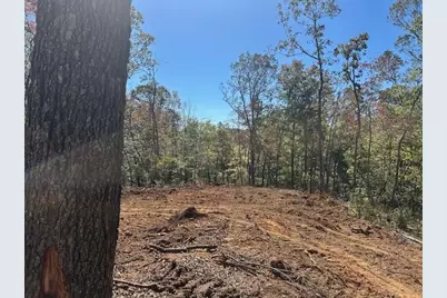 3.71 Yancy Drive, Dawsonville, GA 30534 - Photo 5