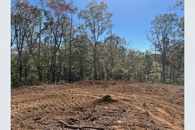 3.71 Yancy Drive, Dawsonville, GA 30534 - Photo 1