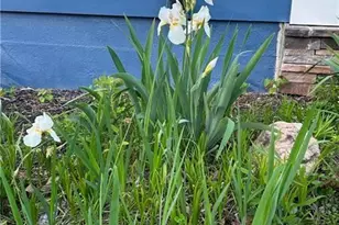 4060 Merritt Dr, Cumming, GA 30041 - Photo 115