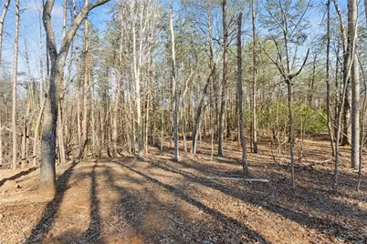 1750 Panorama Drive, Sautee Nacoochee, GA 30571 - Photo 45