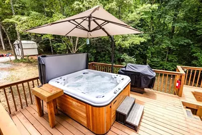 2 Watson Gap Road, Mineral Bluff, GA 30559 - Photo 11