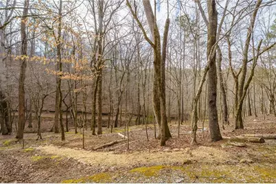 1547 Whitestone Road, Talking Rock, GA 30175 - Photo 73