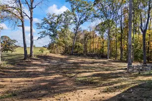 11 Bradley Rd, Talking Rock, GA 30175 - Photo 43