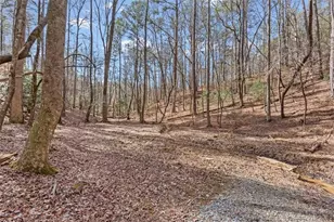 61 Grove Ln, Ellijay, GA 30540 - Photo 41