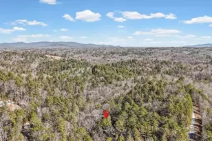 61 Grove Ln, Ellijay, GA 30540 - Photo 51