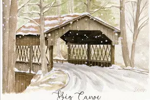 815 Shetland Trce, Big Canoe, GA 30143 - Photo 47