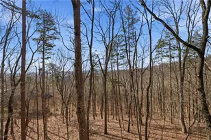 815 Shetland Trce, Big Canoe, GA 30143 - Photo 35