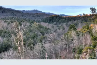 156 Coles Crossing Road, Mineral Bluff, GA 30559 - Photo 97