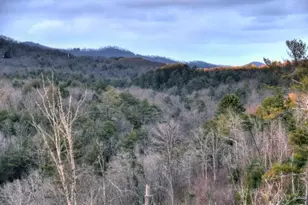 156 Coles Crossing Rd, Mineral Bluff, GA 30559 - Photo 97