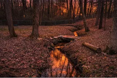 271 Heard Drive, Dawsonville, GA 30534 - Photo 3