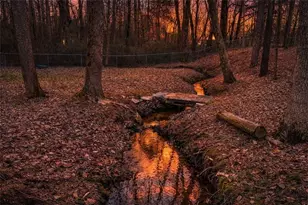 271 Heard Dr, Dawsonville, GA 30534 - Photo 3