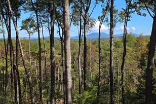 345 Big Oak Ln, Blue Ridge, GA 30513 - Photo 3