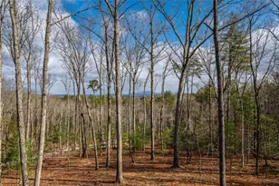 345 Big Oak Ln, Blue Ridge, GA 30513 - Photo 55