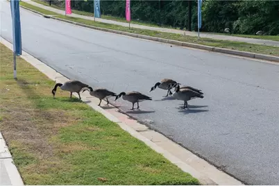 740 Coventry Cove Way, Acworth, GA 30102 - Photo 41