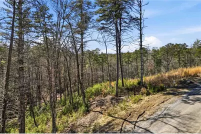 0 Mountain Laurel, Mineral Bluff, GA 30559 - Photo 13