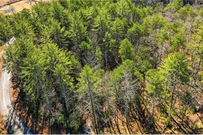 0 Mountain Laurel, Mineral Bluff, GA 30559 - Photo 17