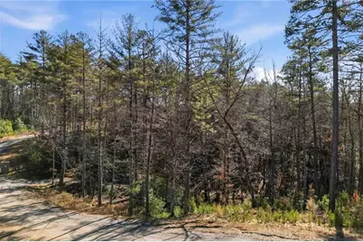 0 Mountain Laurel, Mineral Bluff, GA 30559 - Photo 11