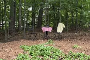 110 N Bluff, Alpharetta, GA 30004 - Photo 9